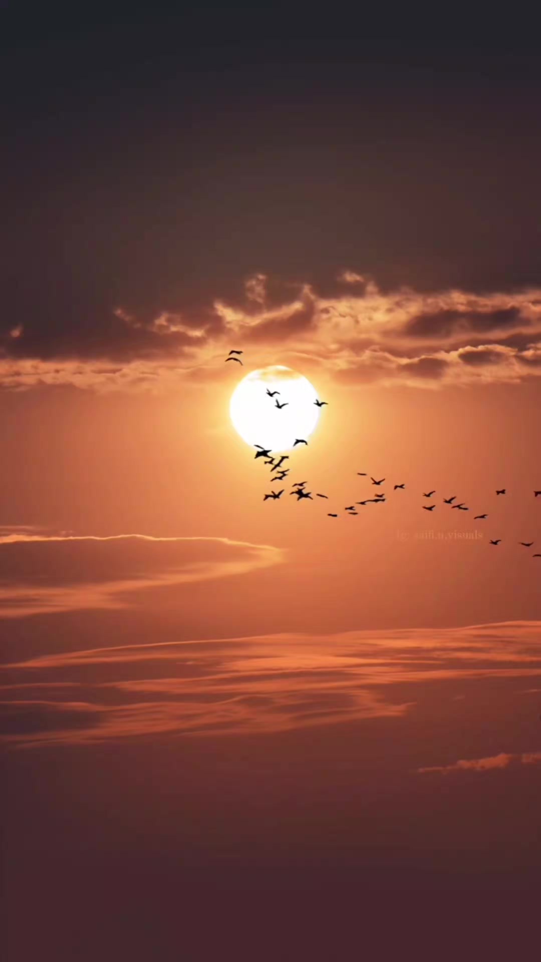 @OM786SURAH