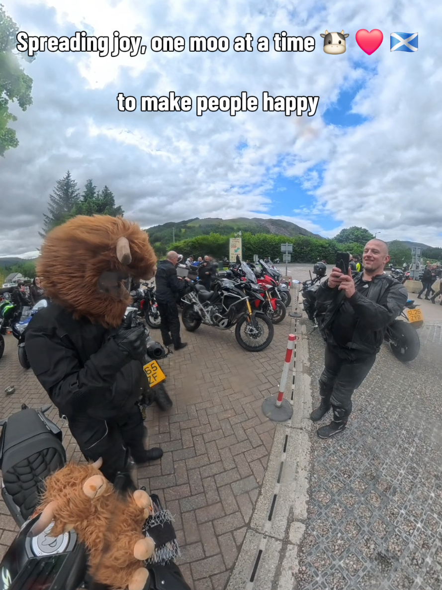 @Highland Cow Rider 🐮🏍