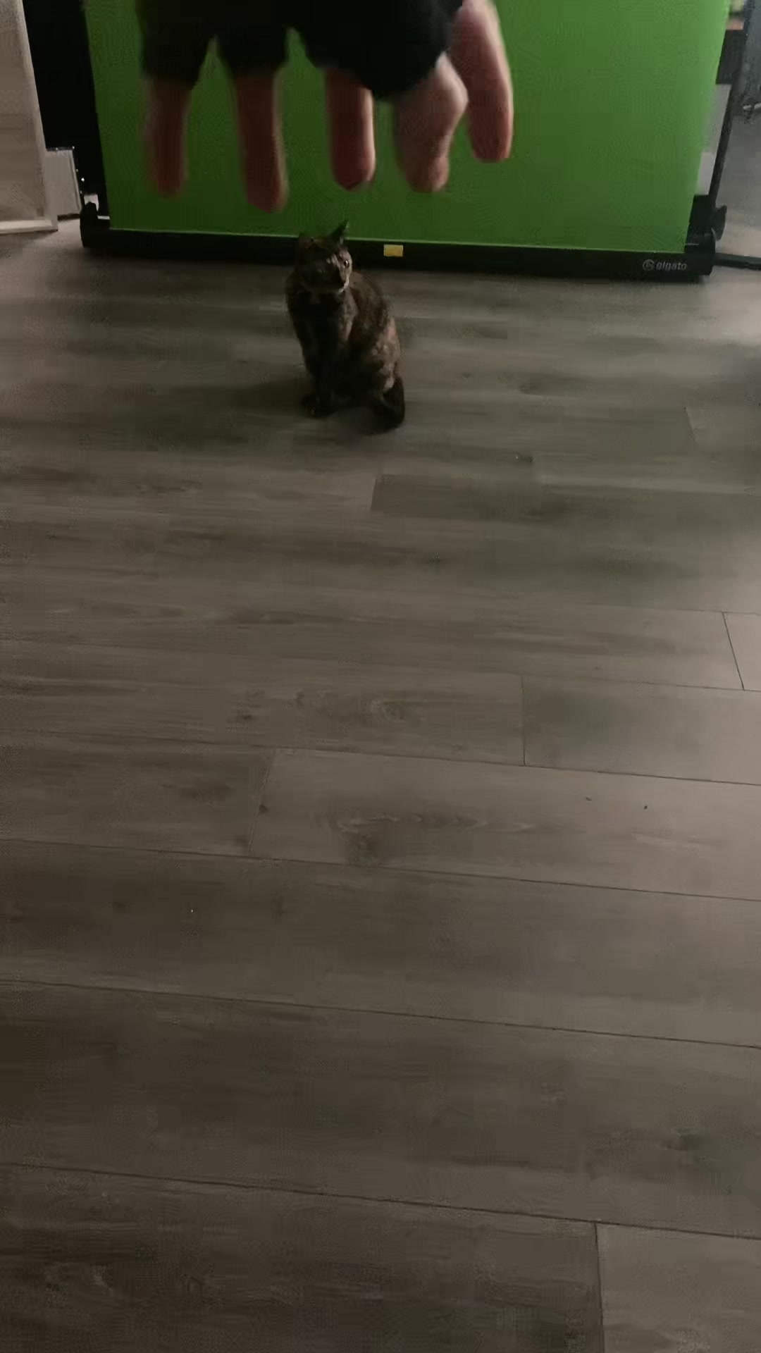 @ꌃꋪꂦꀘꍟ &szlig;&eth;&iuml;