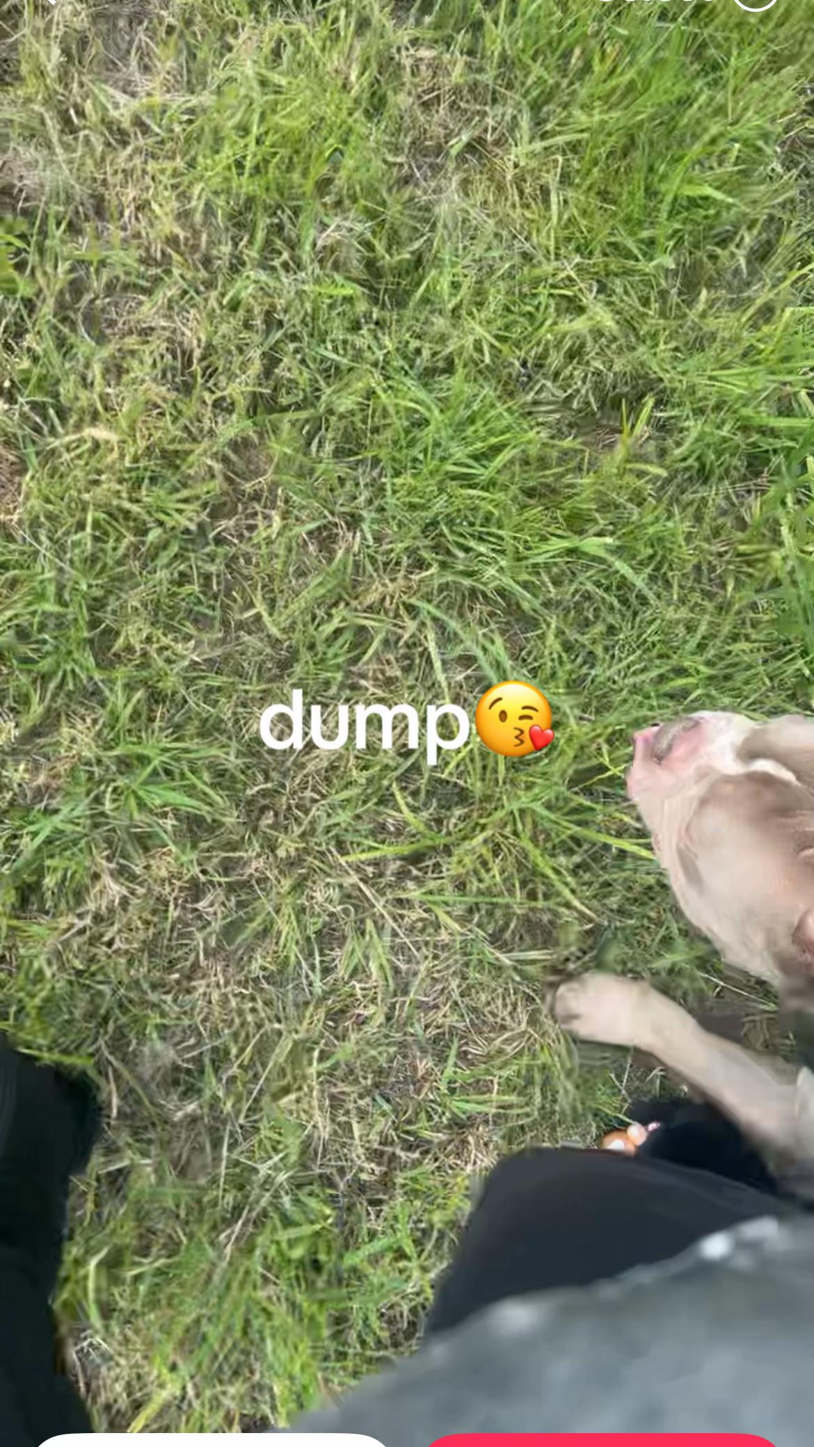 @ameliaxoxo193
