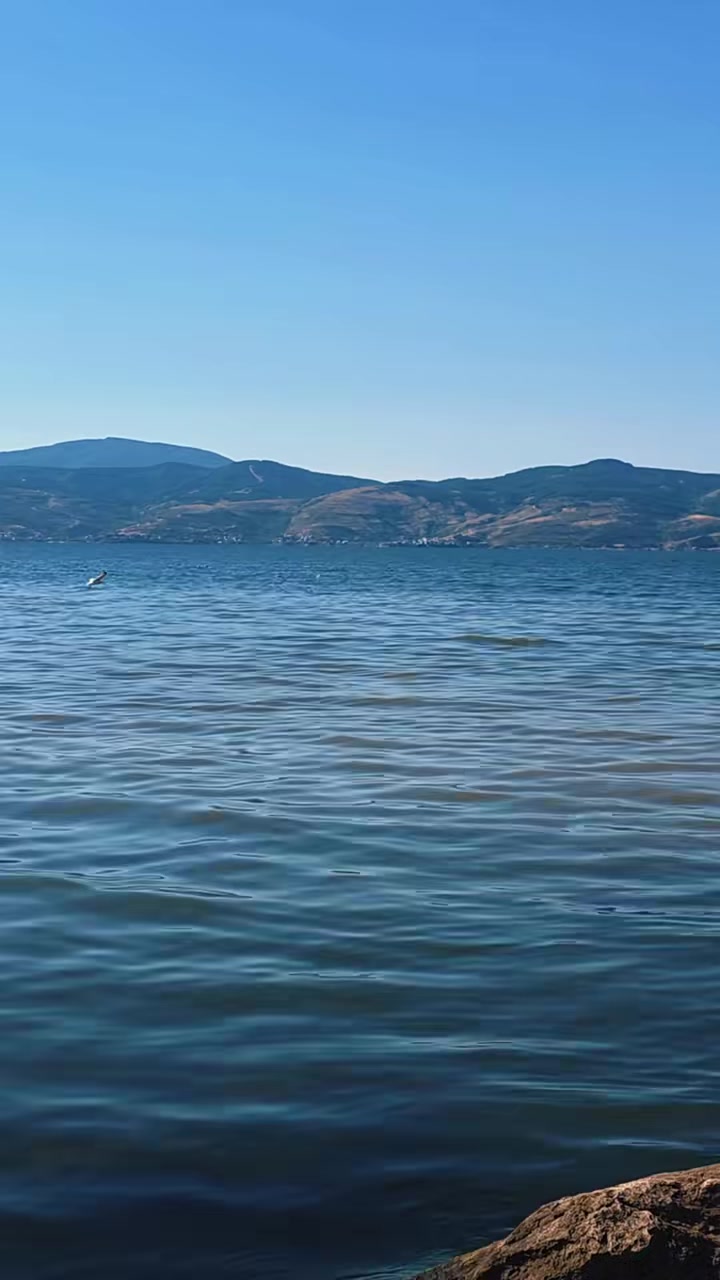 @Yal&ccedil;ın Kaya