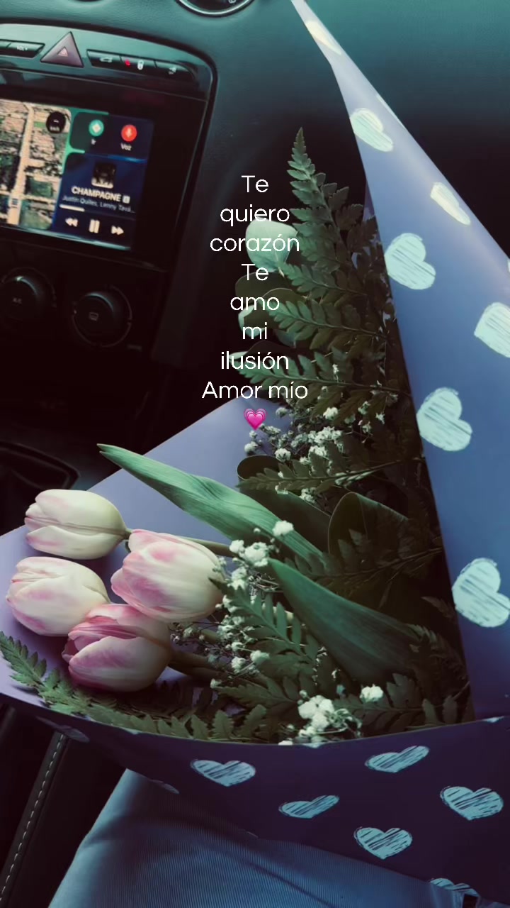 @ℛ𝑜𝓈𝓈𝓎