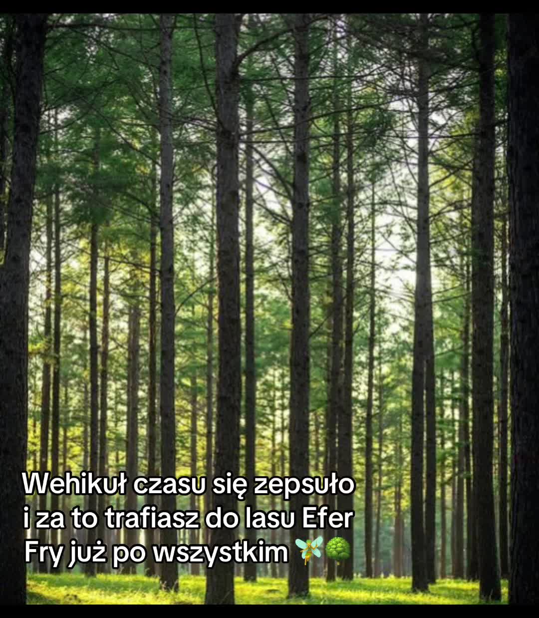 @~&times;🍏Strażnicy leśnej magii🍏&times;~
