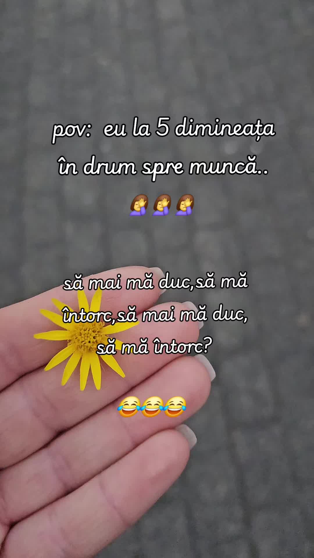 @✨️R&oslash;xanna-Andreea M.✨🌦💀