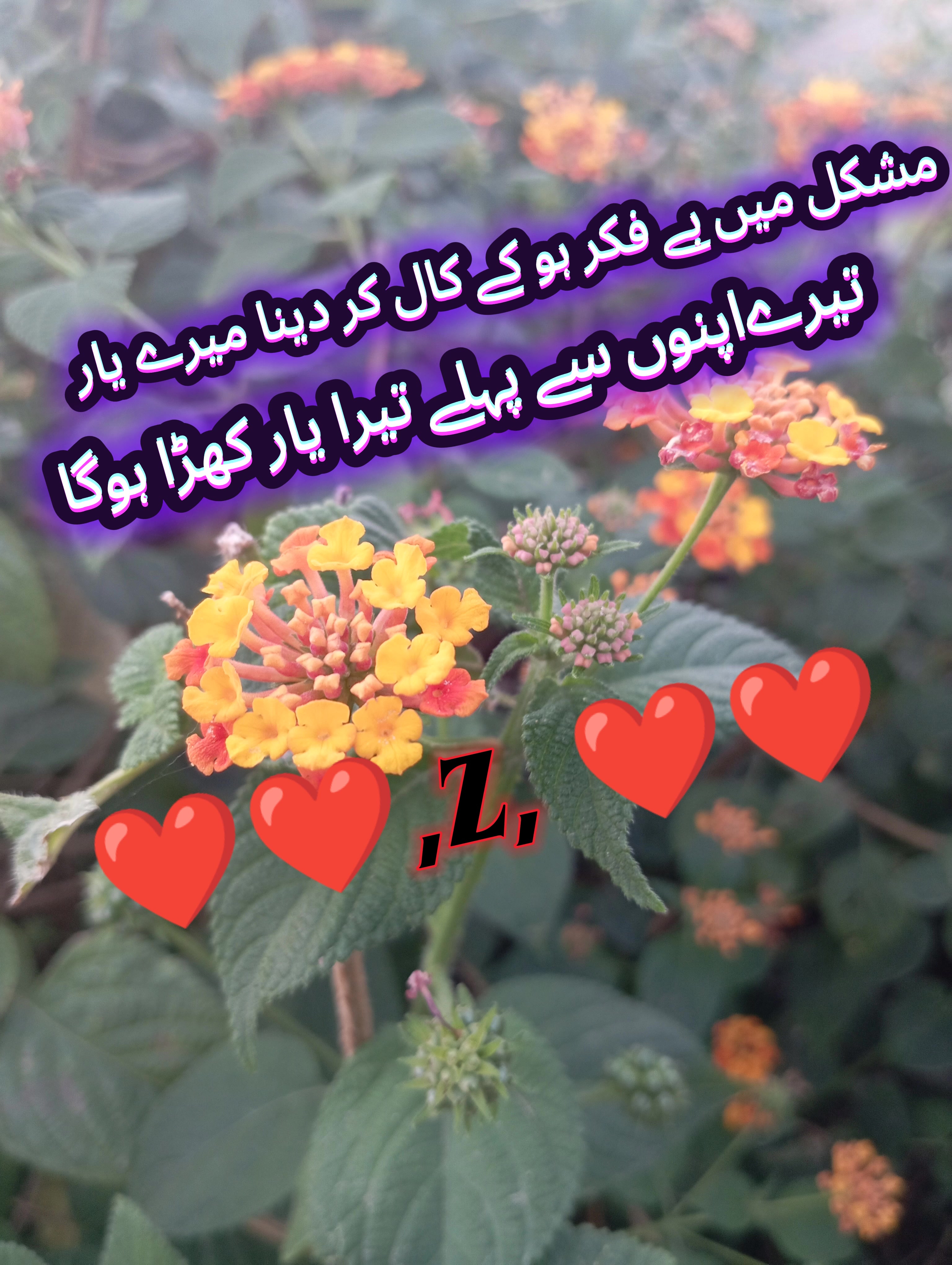 @shafaullah