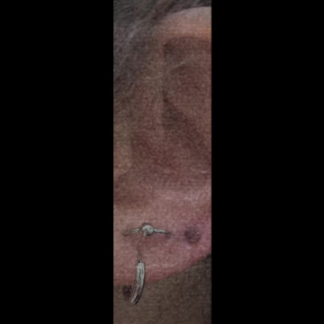 @Velvet Elvis Piercing