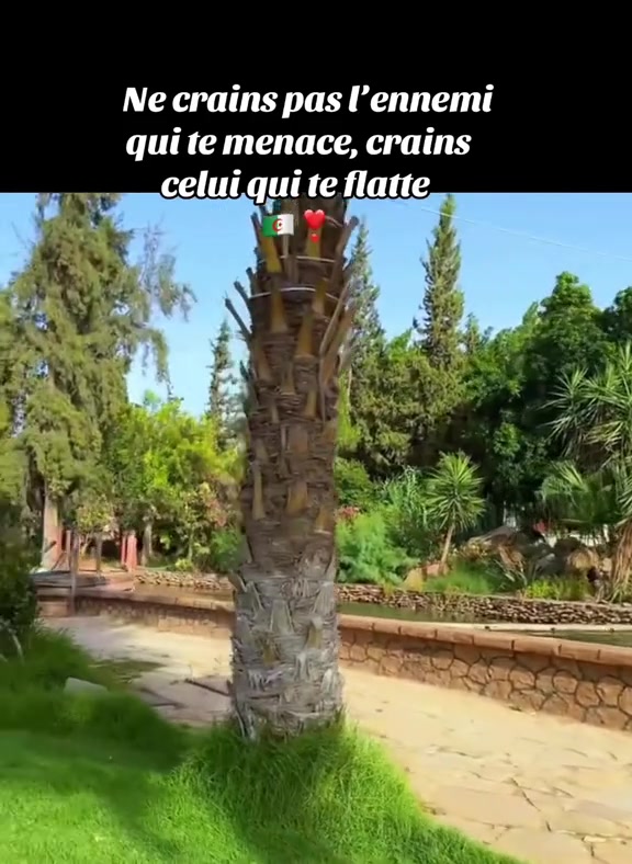 @Alg&eacute;roise16