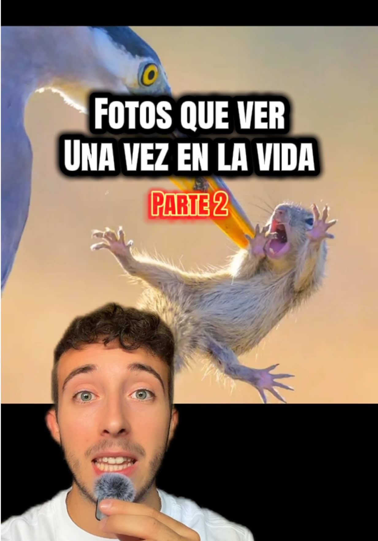 @ivanttops