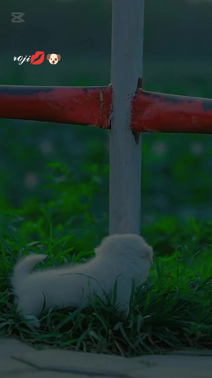 @𝒩𝒶𝒩𝓊