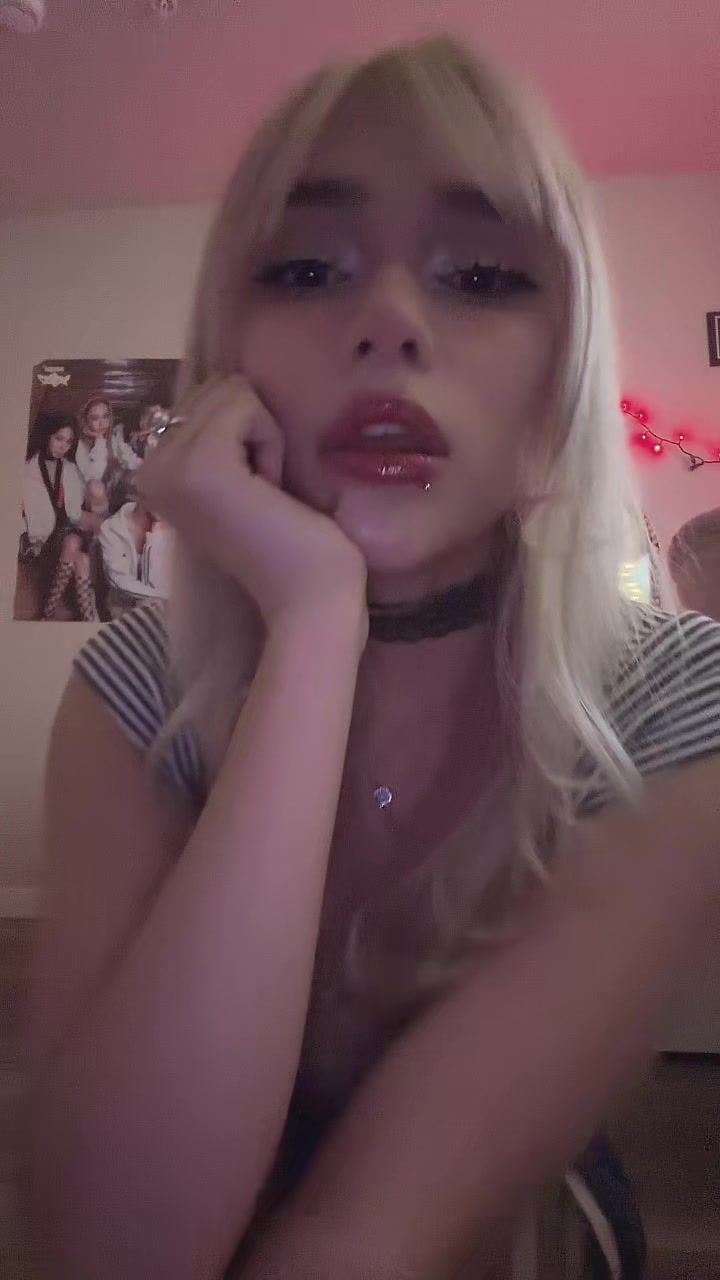 @dinopawwz