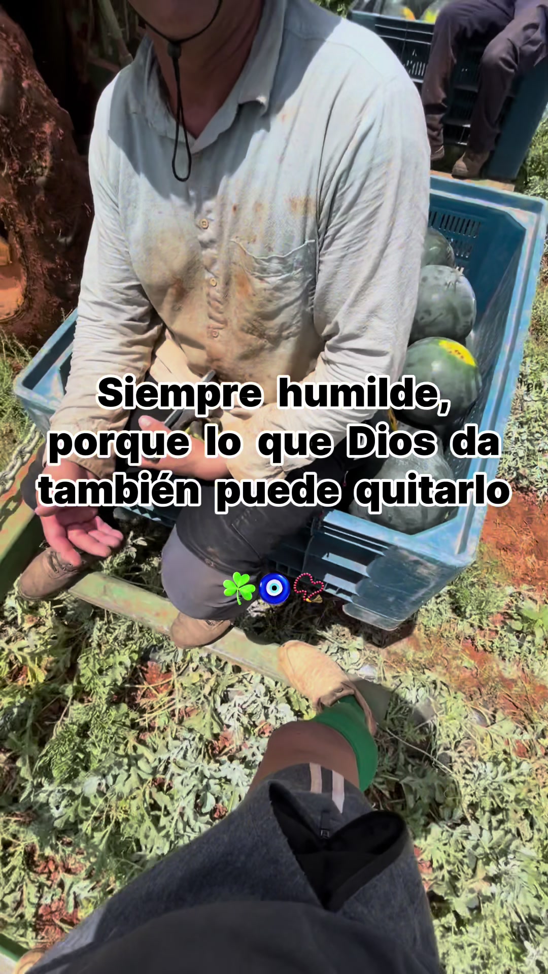 @@Cris_