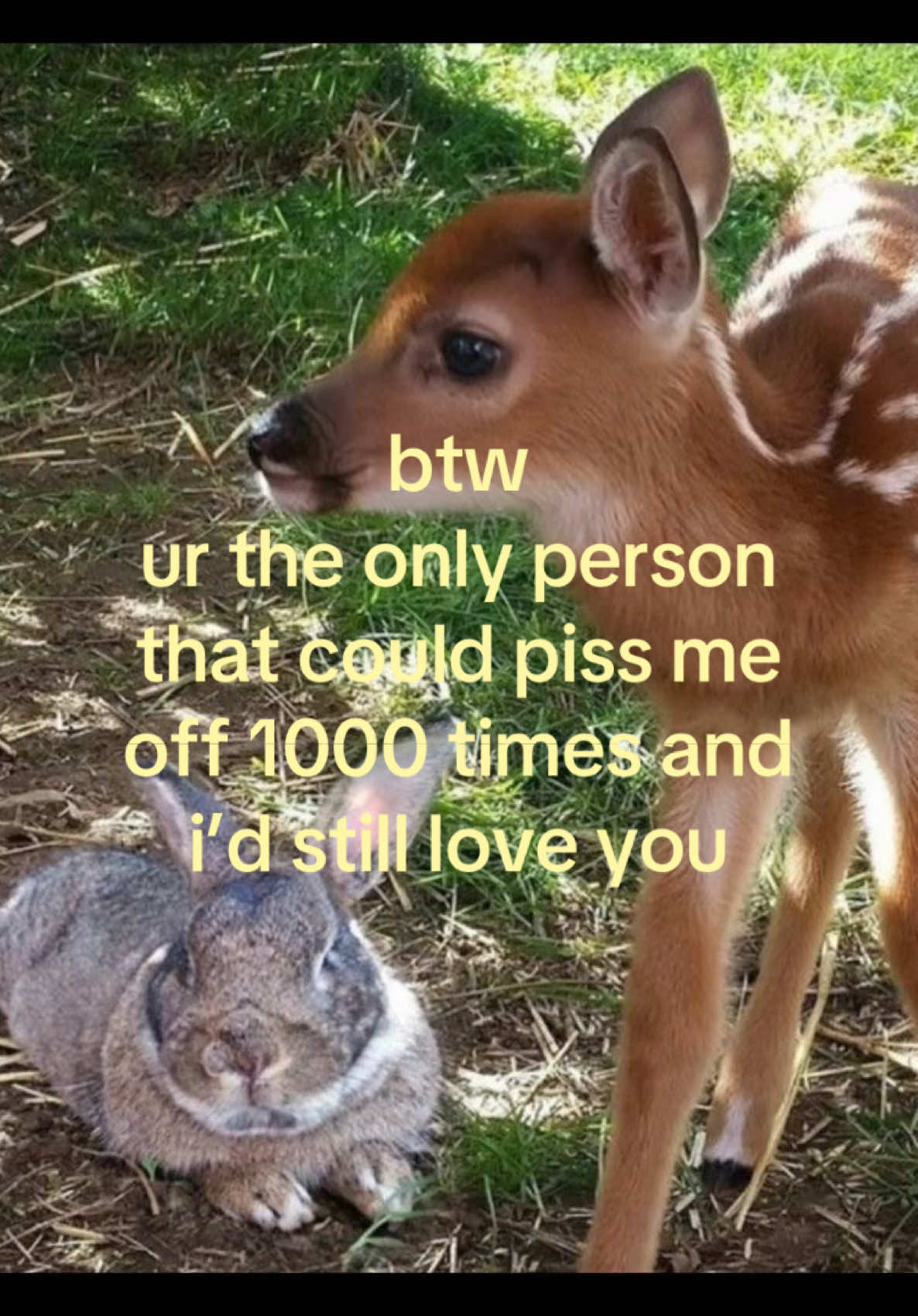 @iseenthisinmydream