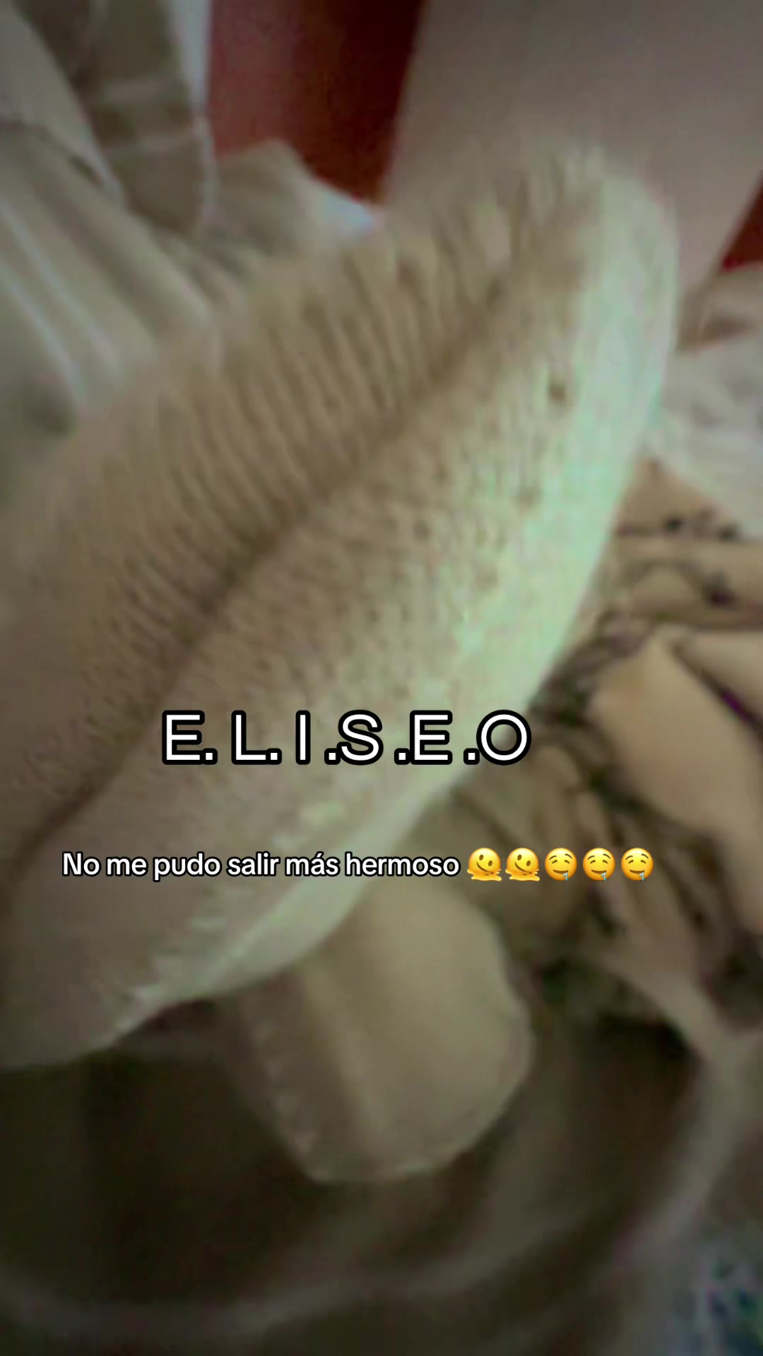 @mpaolareyesluque