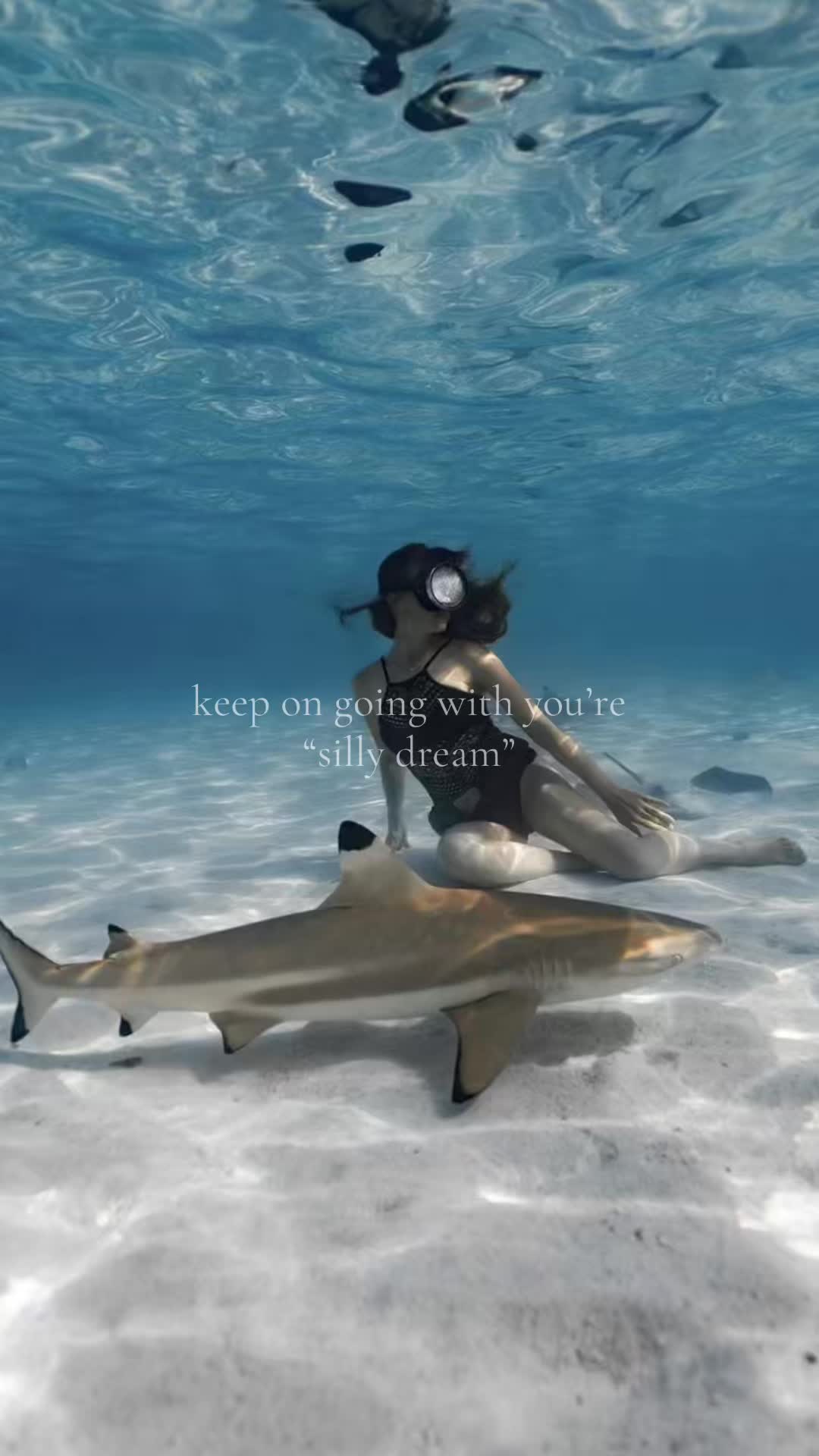 @sharklover🦈
