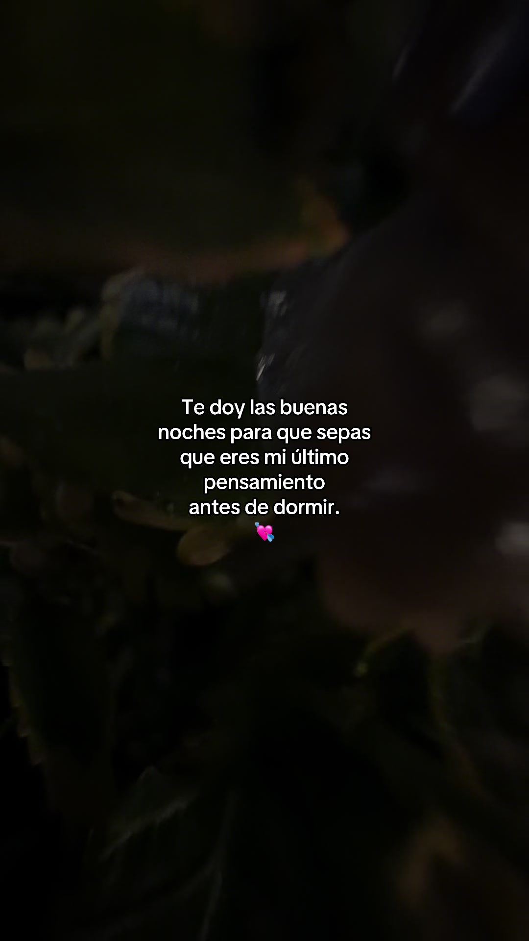 @jomagee