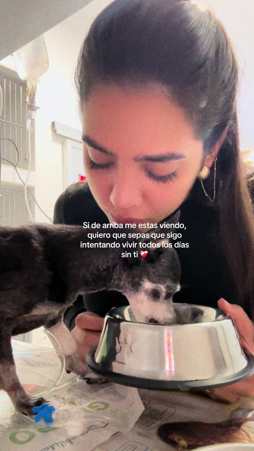 @Navila Dieb