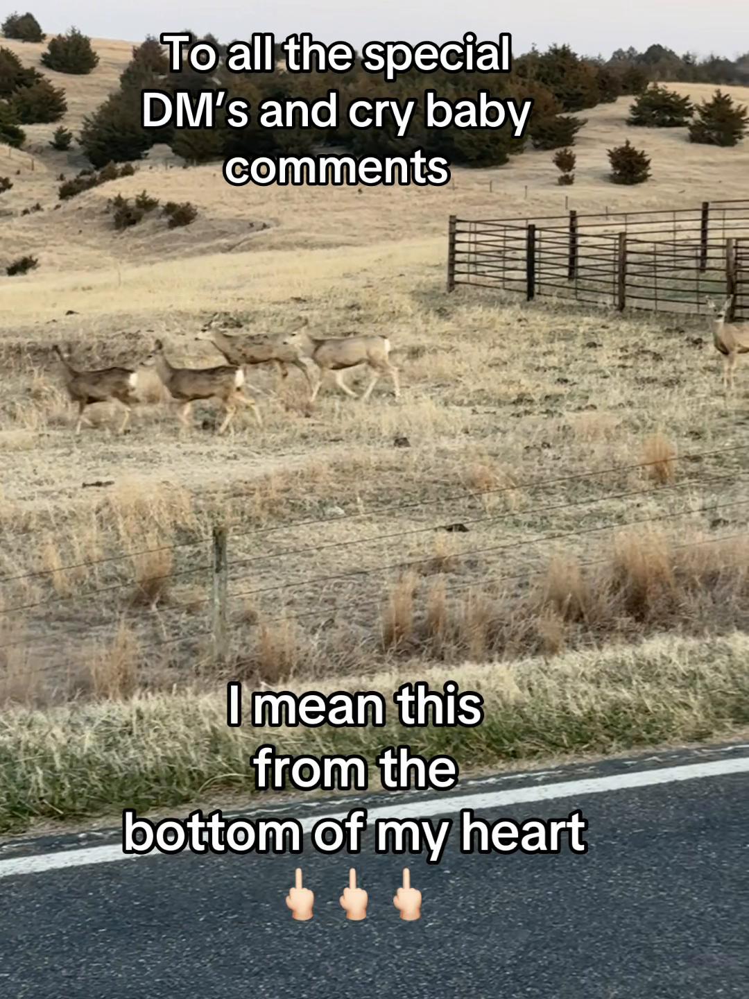 @K9 Dina