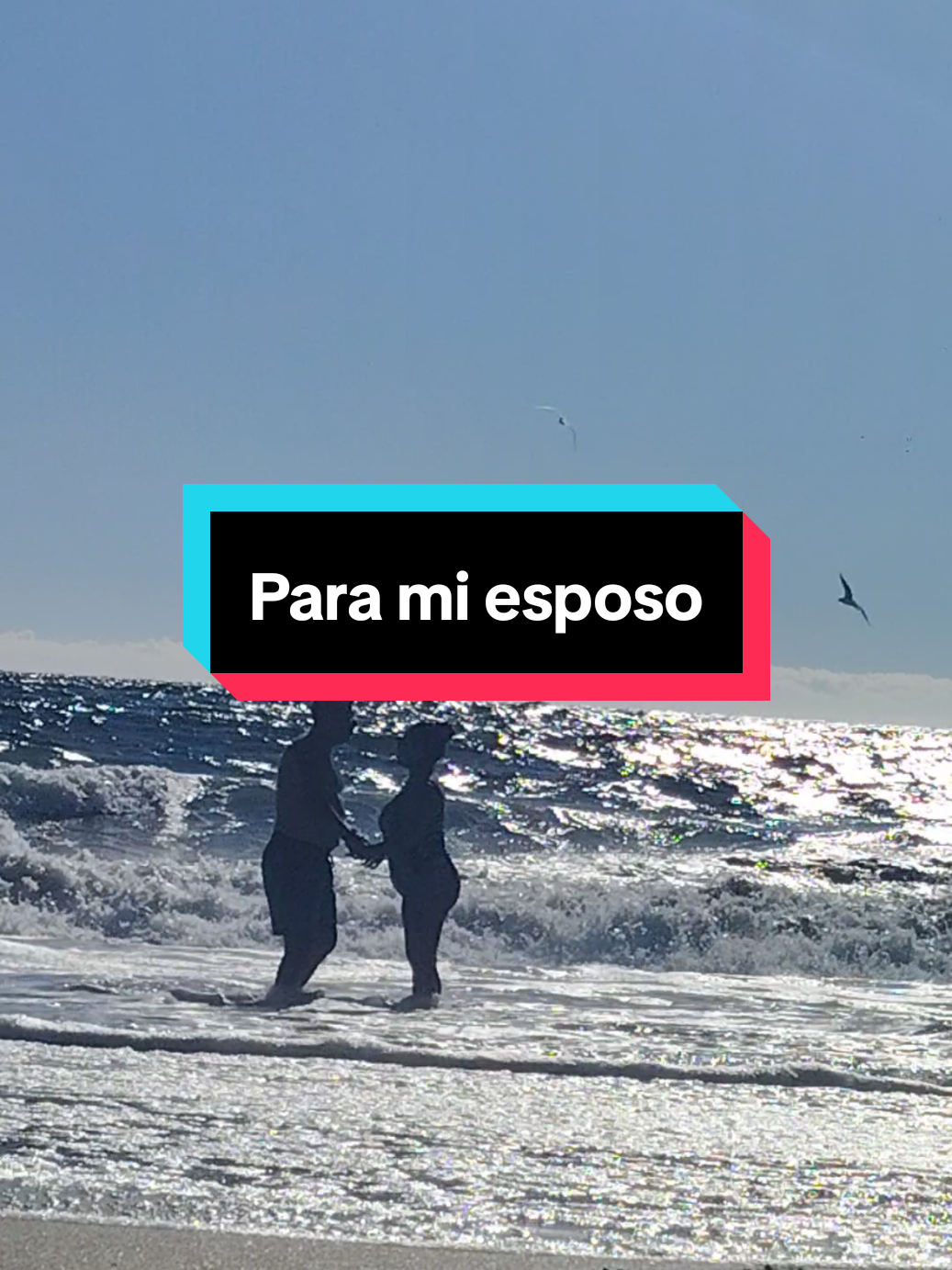 @Valeria Torres