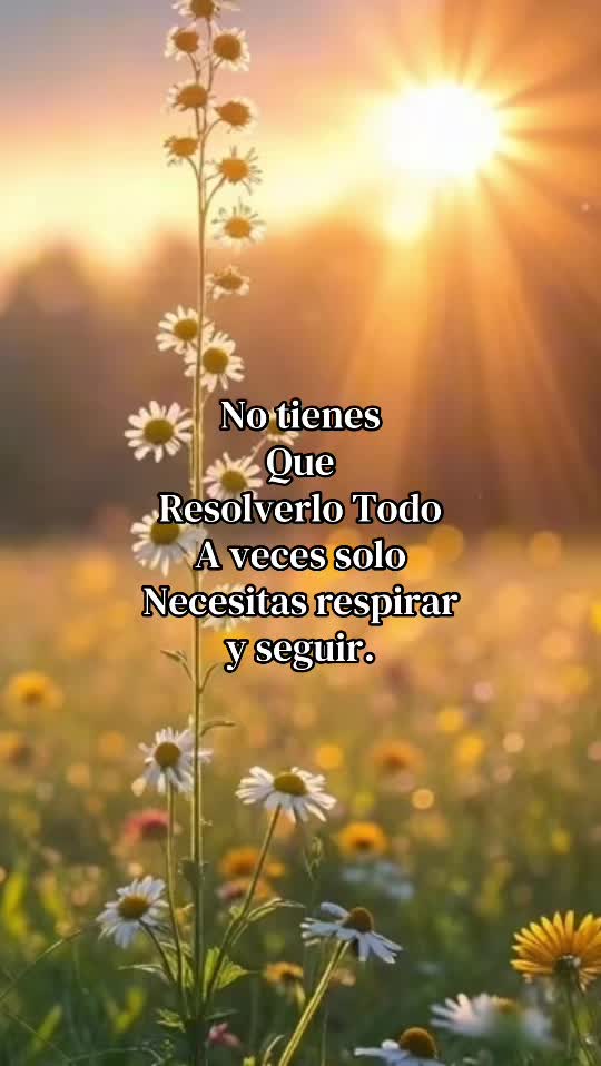 @TonyRivera