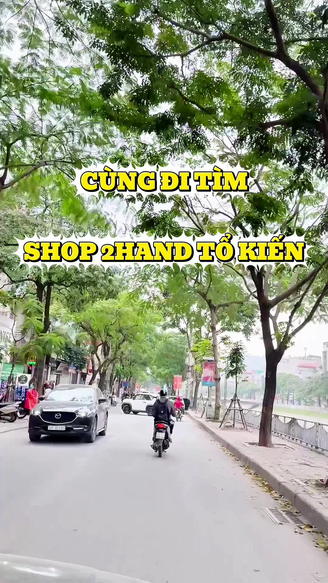 @LINH TỔ KIẾN 💋