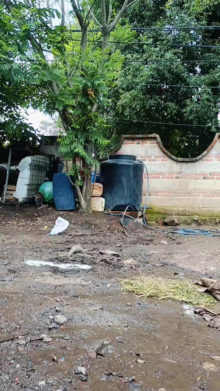 @Osvaldo Jim&eacute;nez