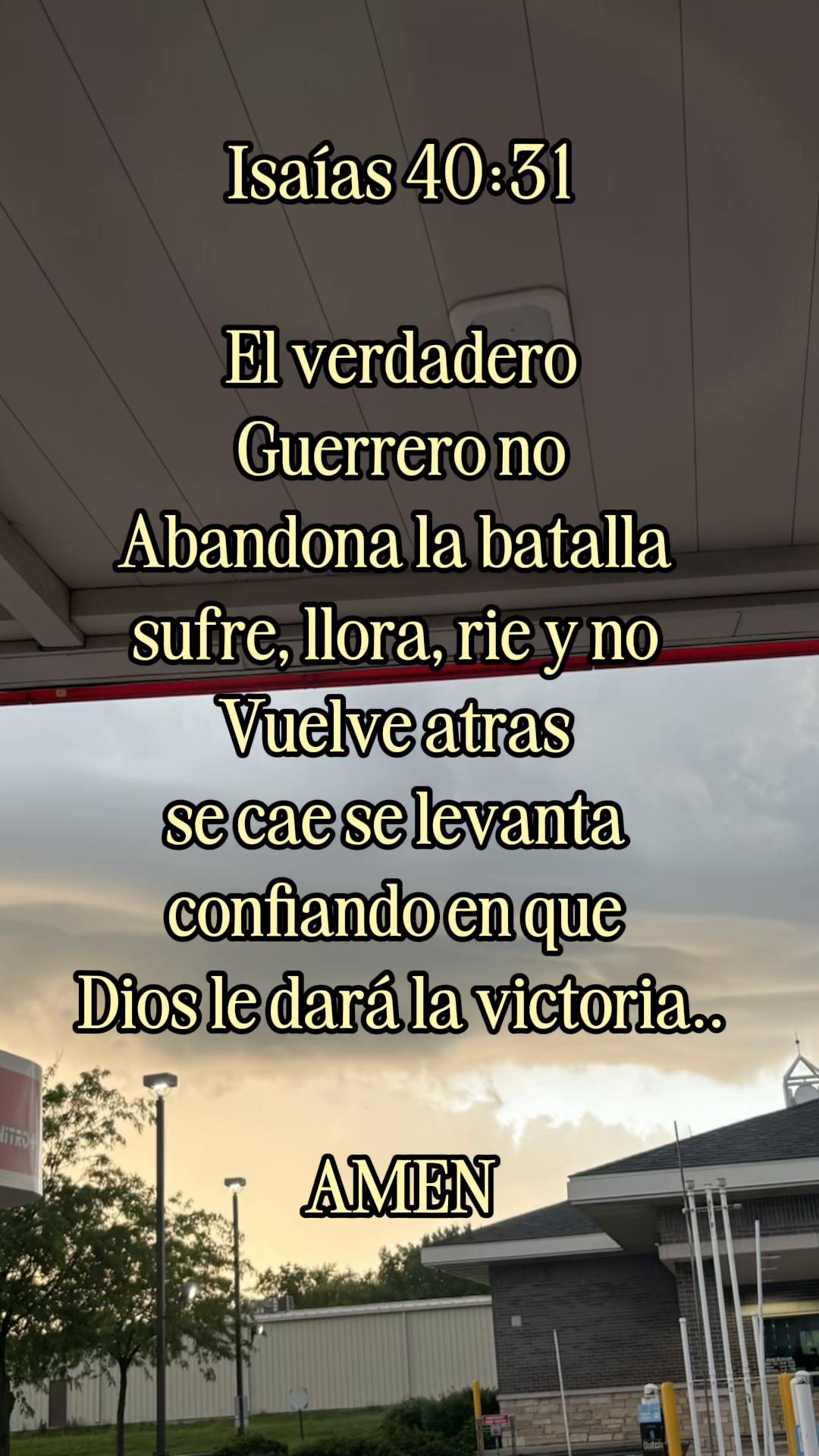 @Araceli vences
