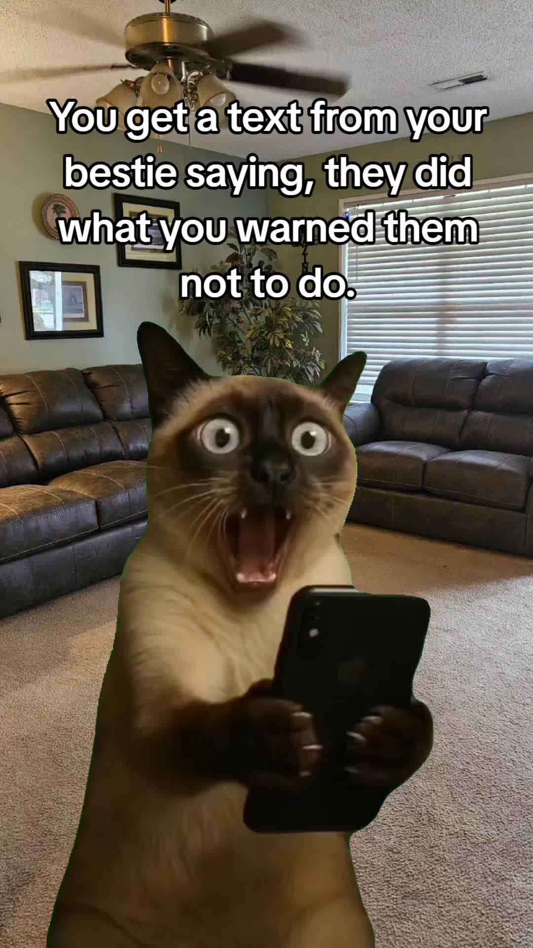 @MagaDawn063