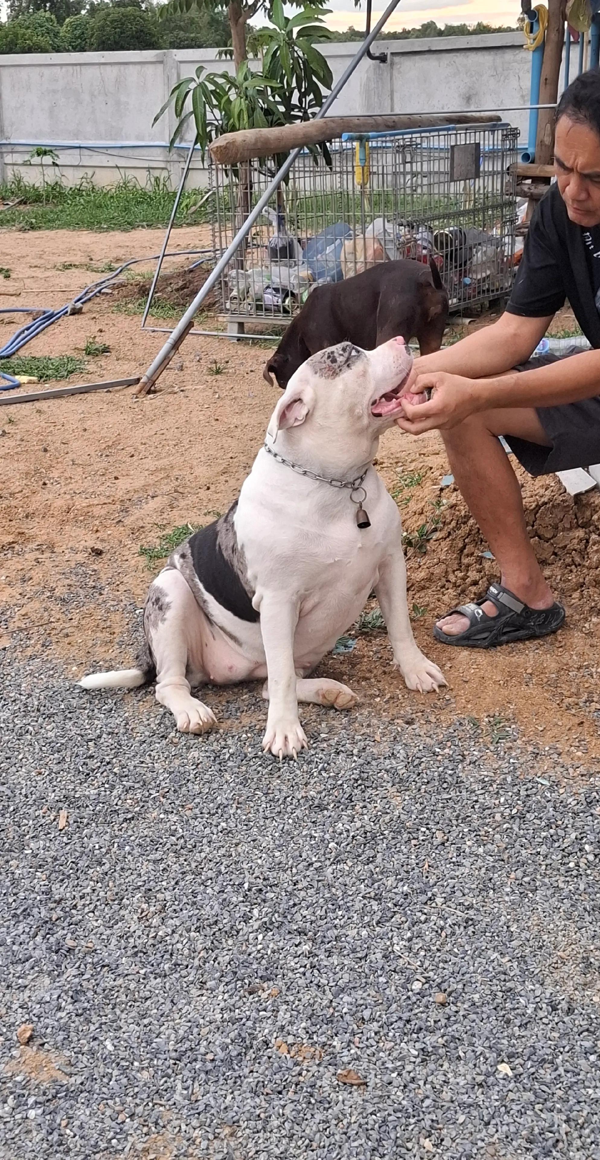 @เจ เด็กคอนหวัน1977