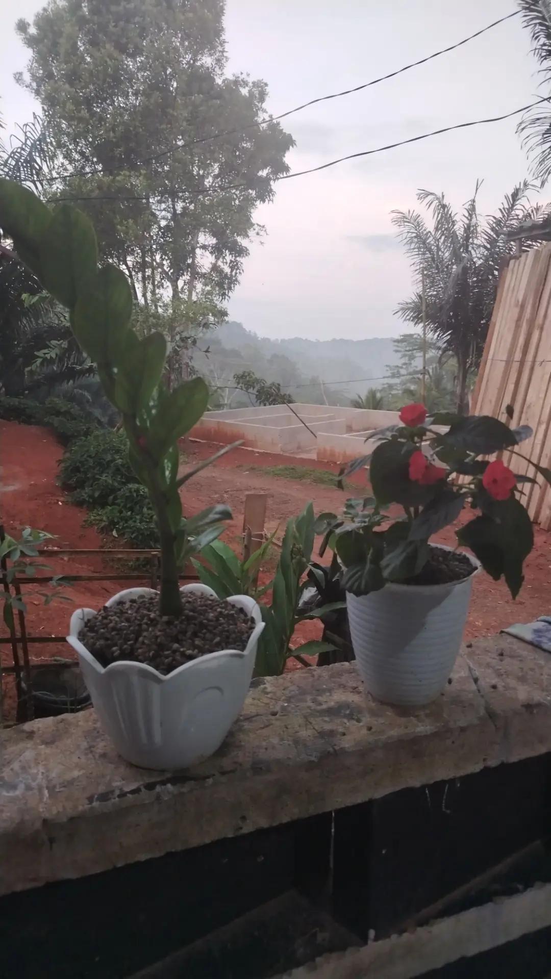 @Wulan Vlog