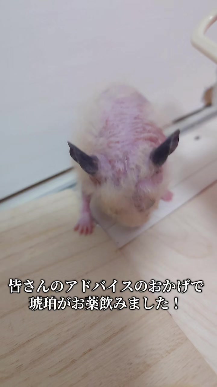 @ジン