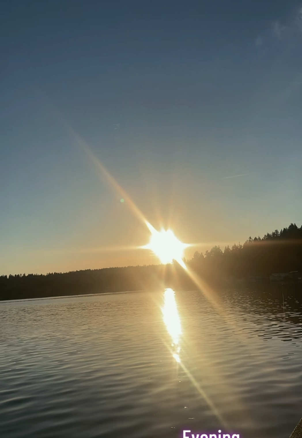 @Nature videos