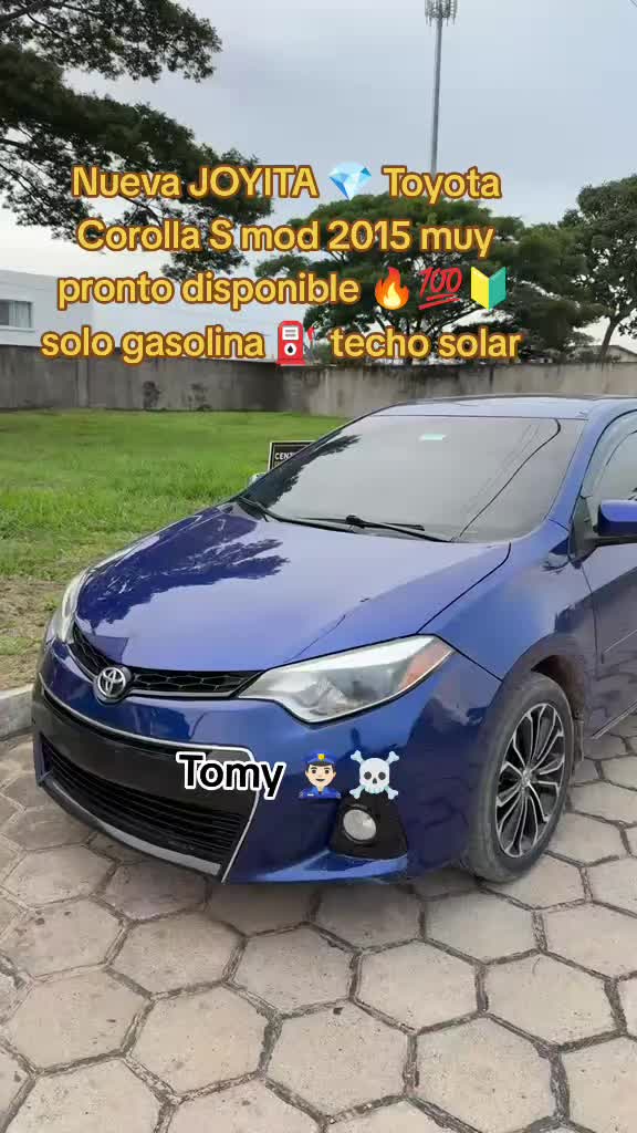 @🔰㊙️TOMY😎🇯🇵