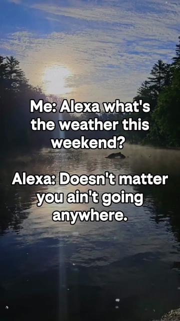 @ShotgunSims