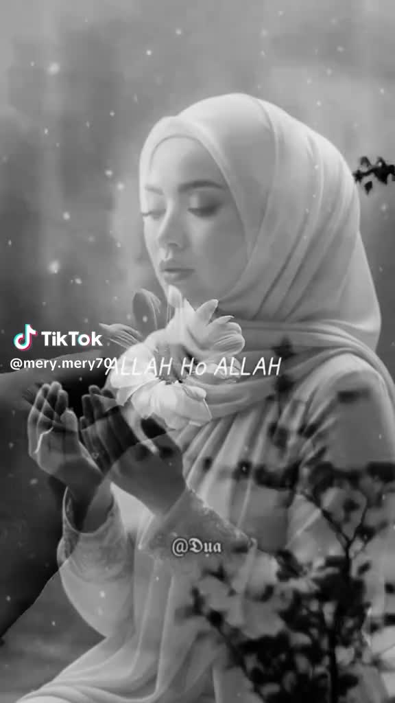 @huluyahasan