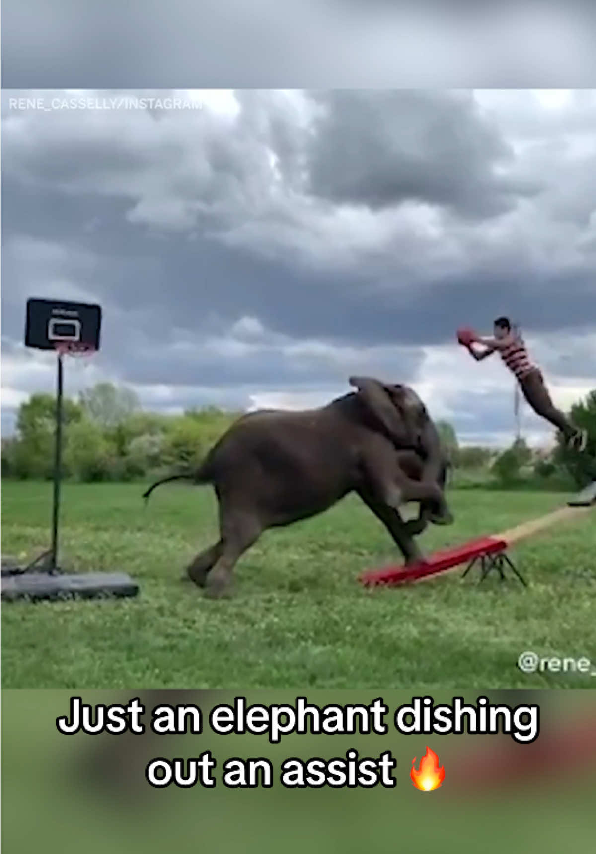 @ESPN