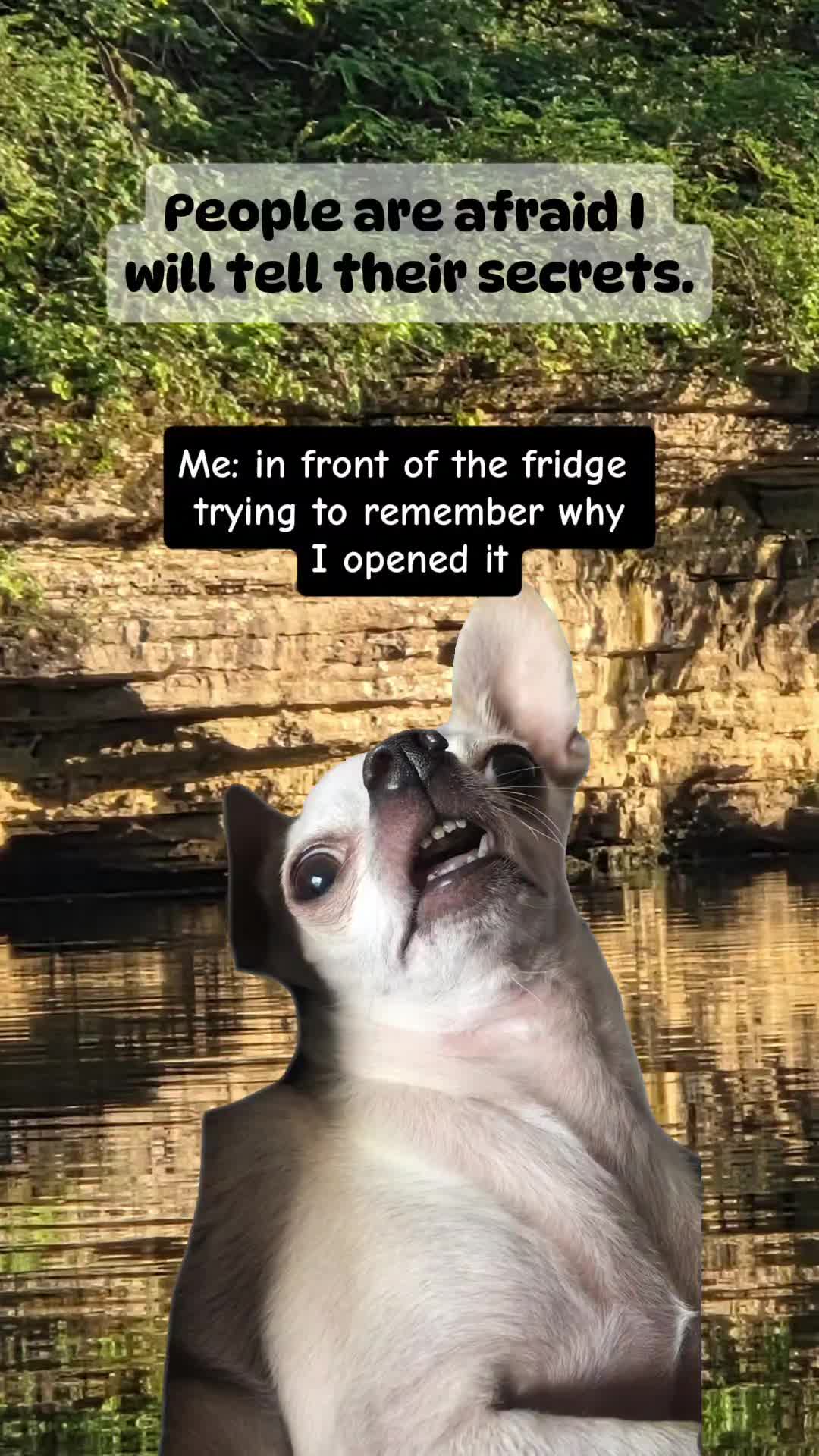 @OverIt_71 ❌️