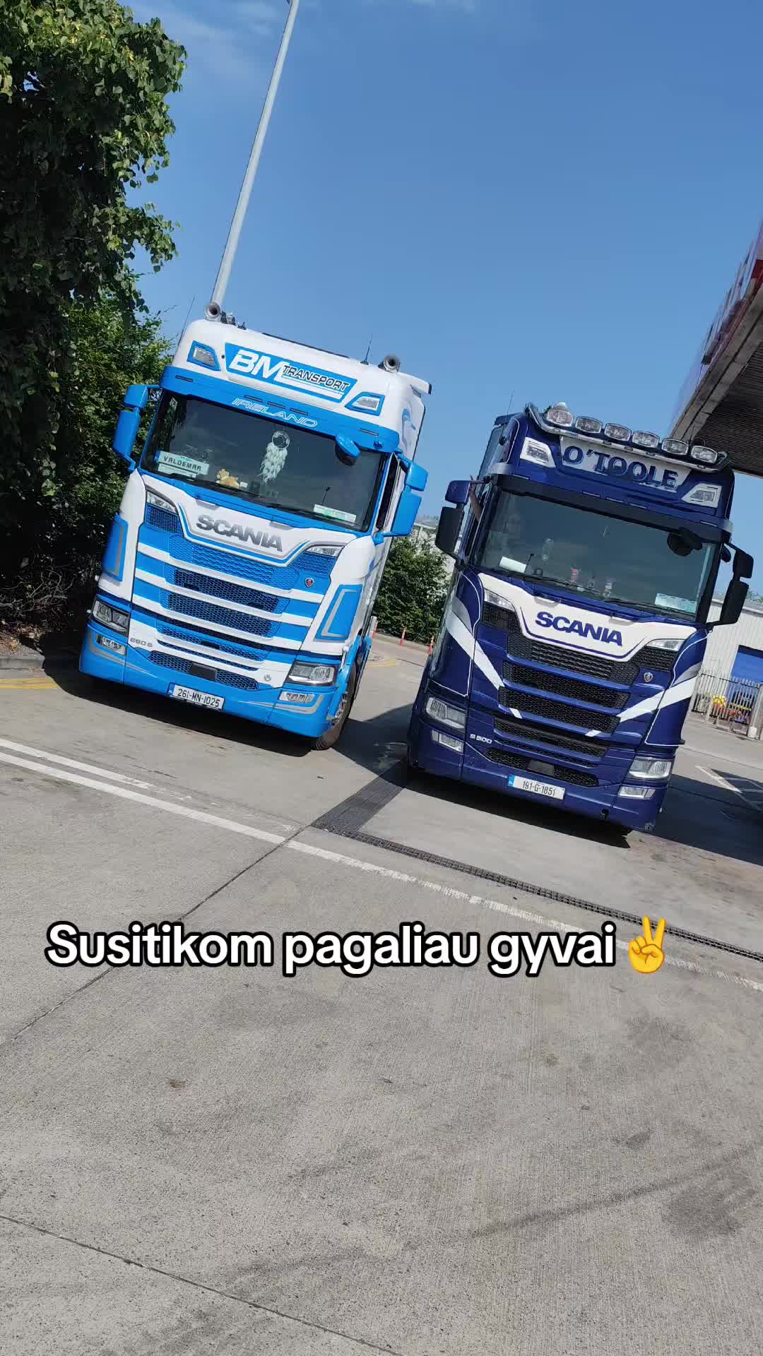 @Valdemarka🇱🇹&🇮🇪🍀♓