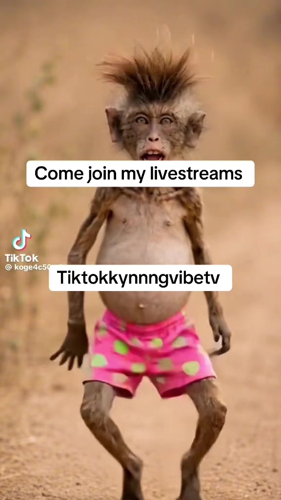 @🌴👑TikTok kynnngvibetv👑🌴