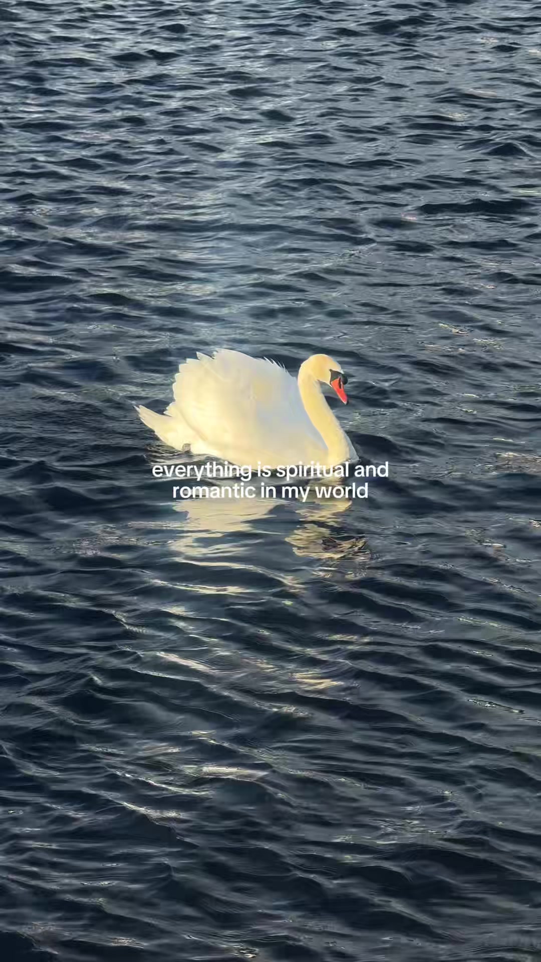@briley alexandra 🦢