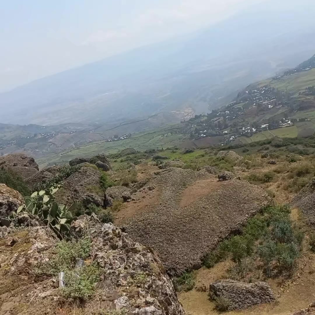 @ሱዑድ ሓበሻ ዲዛይነር