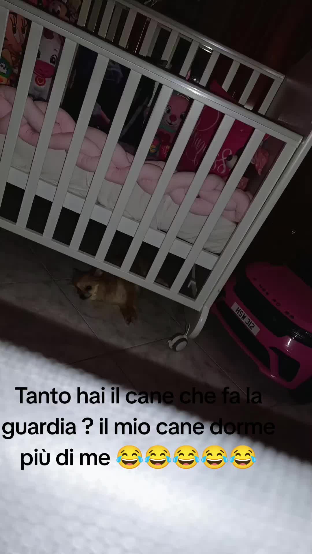 @AnnaPia Mazzariello
