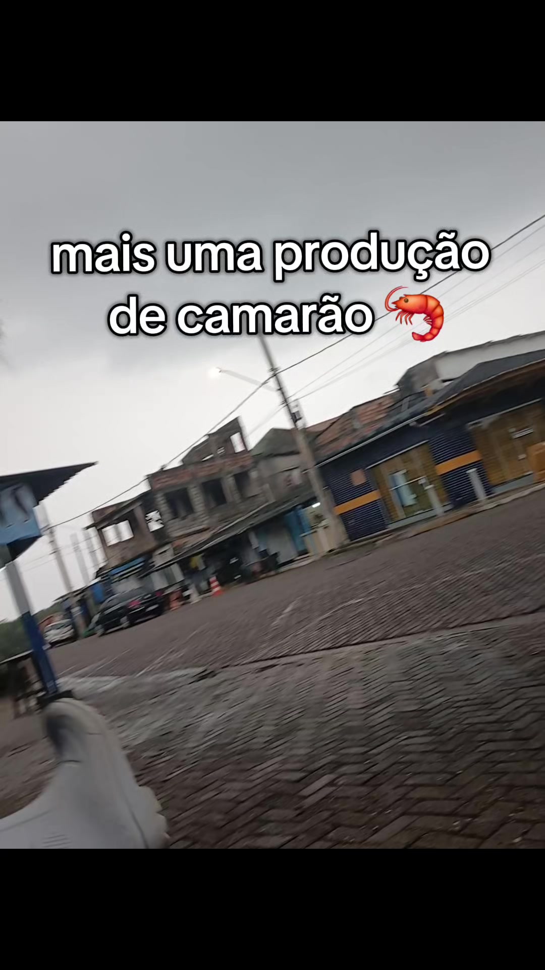 @lucia