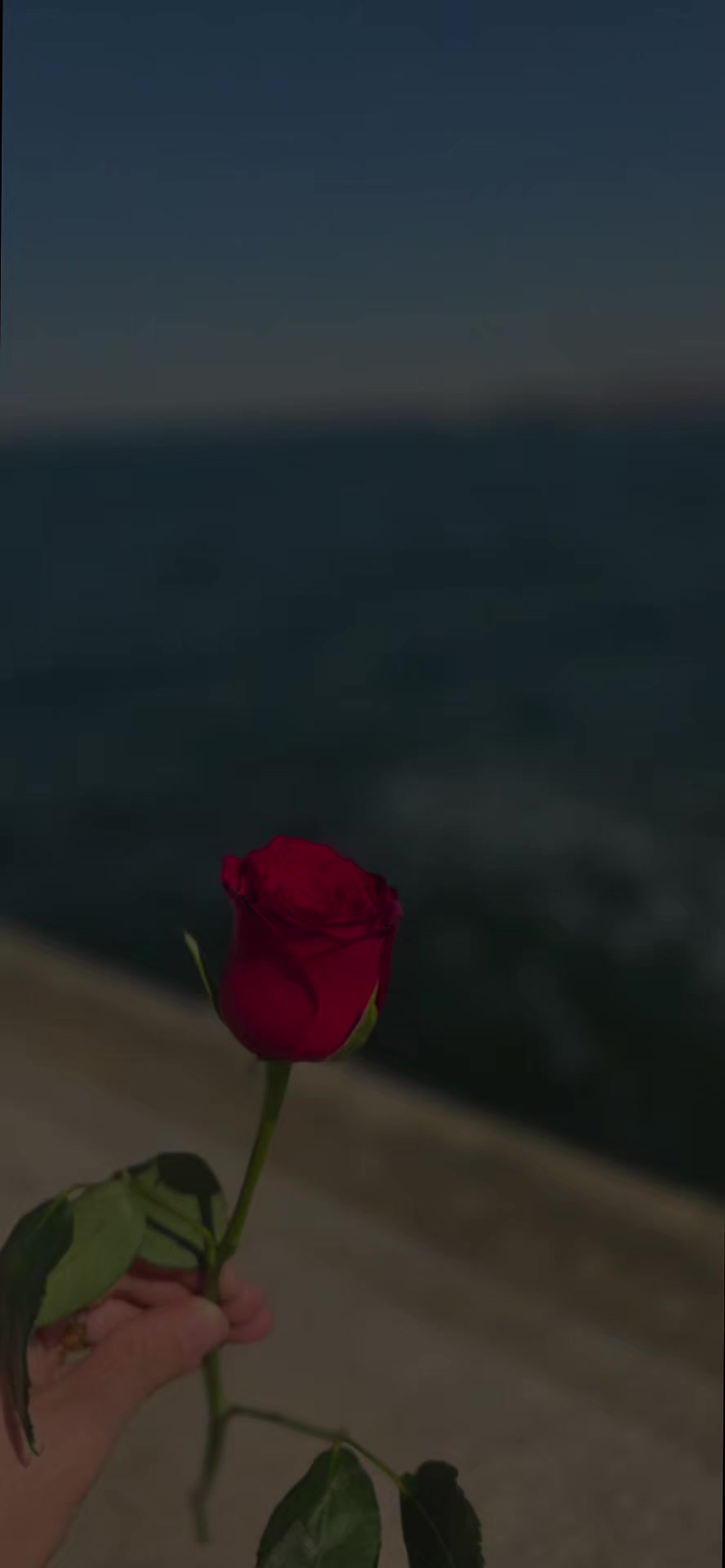 @꧁𝔅𝔢𝔯𝔞𝔞 Ş𝔦𝔪𝔞𝔩𝔦꧂