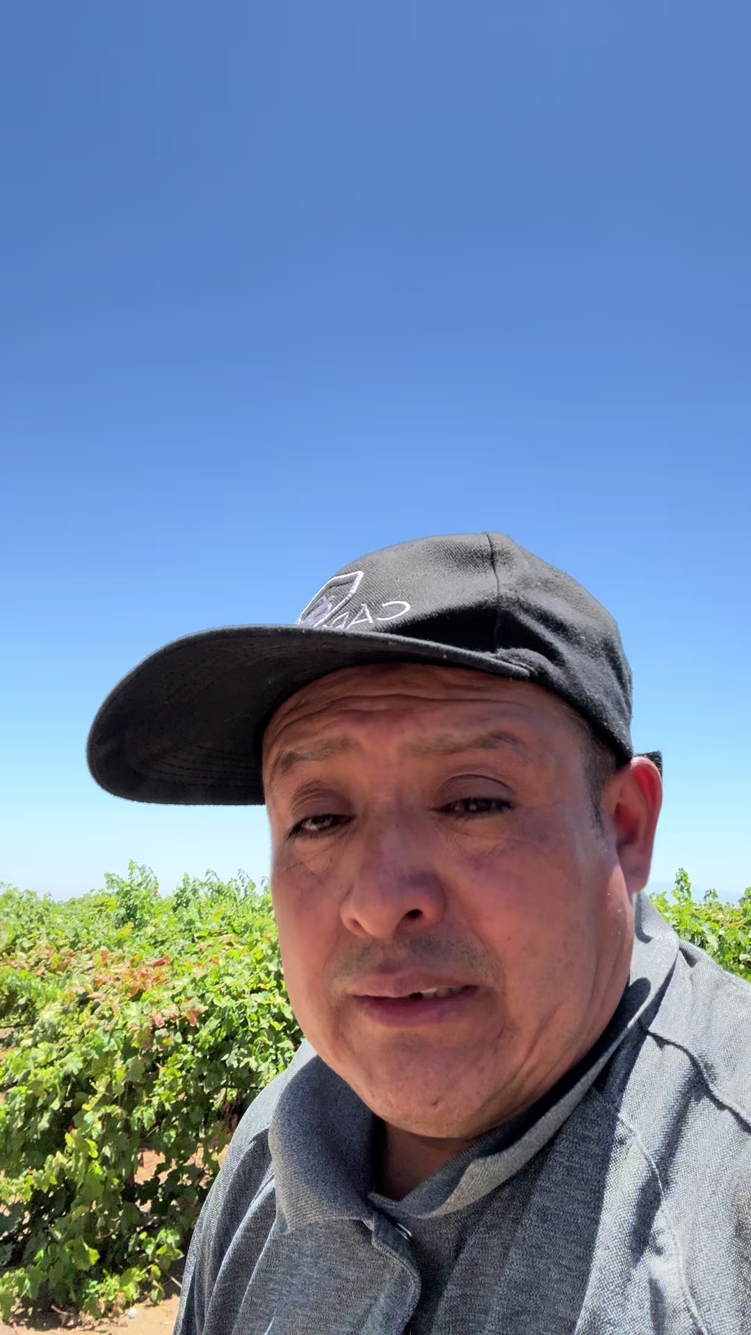 @chiquilin Mart&iacute;nez Vlog