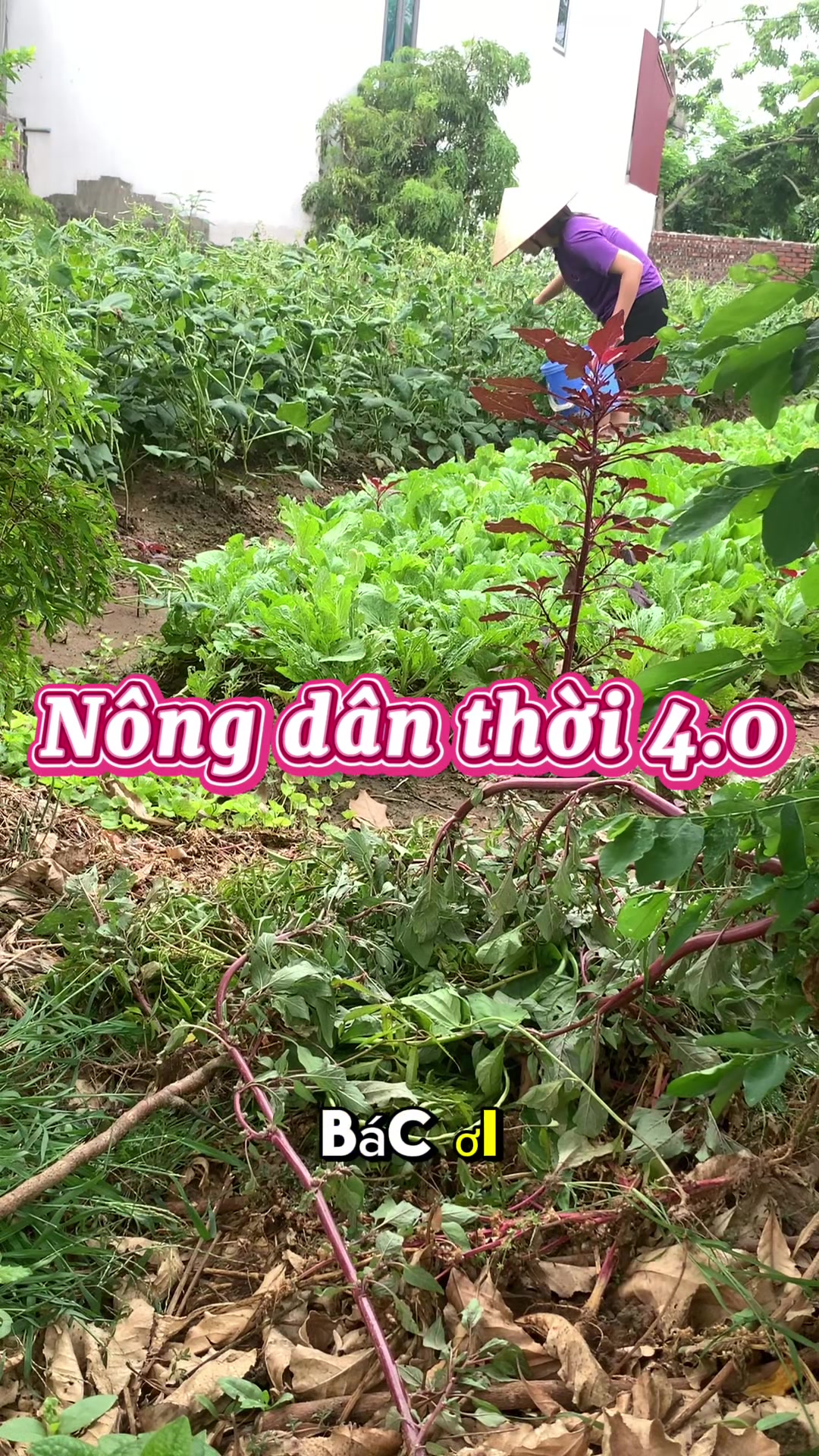 @Hành Phi Kinh Môn nhà Khanh