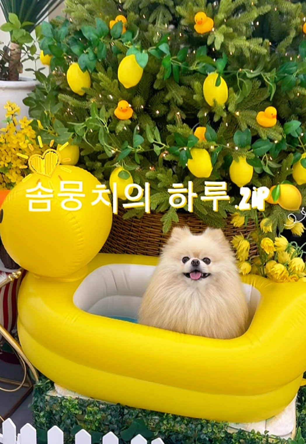 @뿌쇽🐻&zwj;❄️🤍