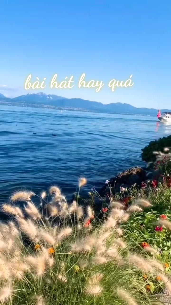 @THANH THƯƠNG