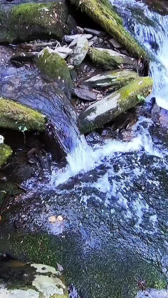 @Kat_💚the💦nature🌿lover💙