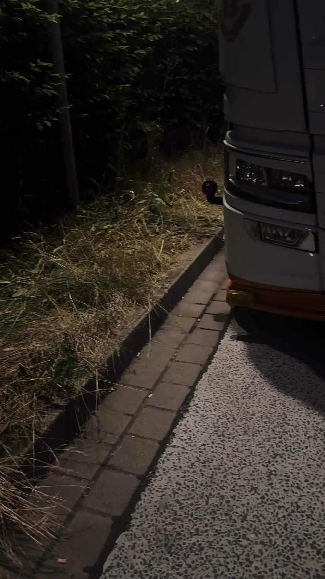 @_🚨TRUCKERJUNKI🚨_