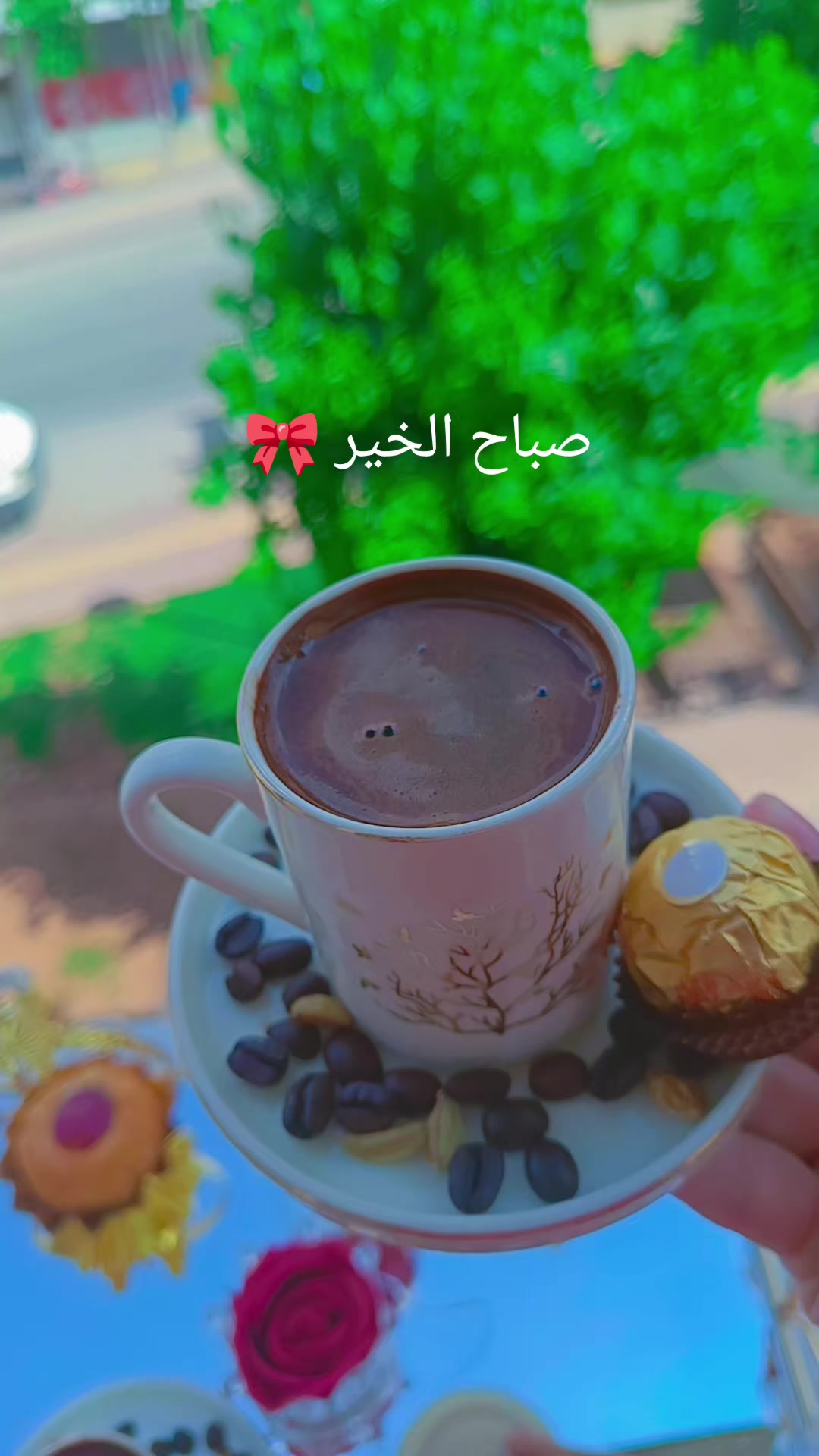 @☺️🌷زهرة حلب 🌷☺️